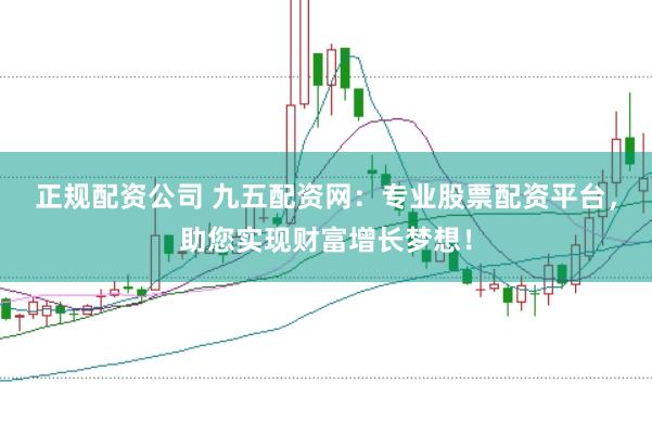 正规配资公司 九五配资网：专业股票配资平台，助您实现财富增长梦想！