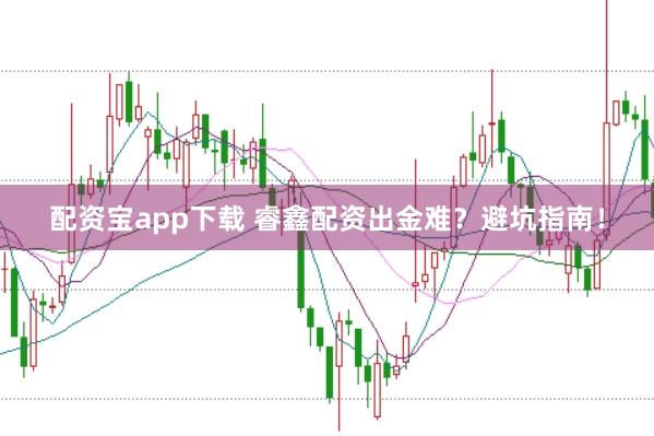 配资宝app下载 睿鑫配资出金难？避坑指南！